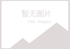 岚县山柏律师有限公司